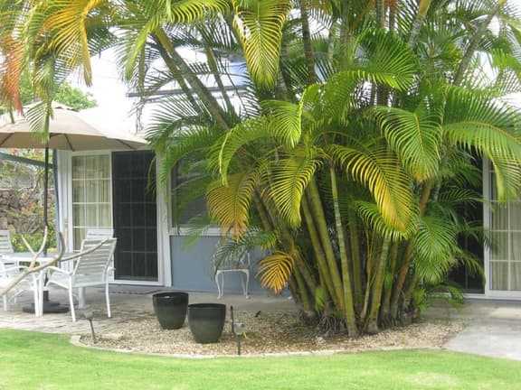 Monet: Cozy unit with AC on next to famous Kailua beach! - Image 1